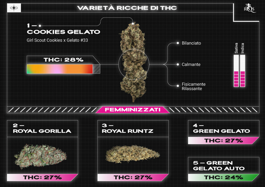 Top RQS THC Strains