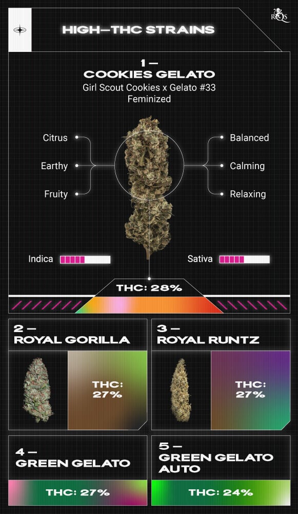 Top RQS High THC Strains