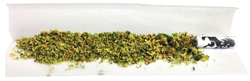 Royal Queen Seeds Joint Royal Queen Seeds Joint