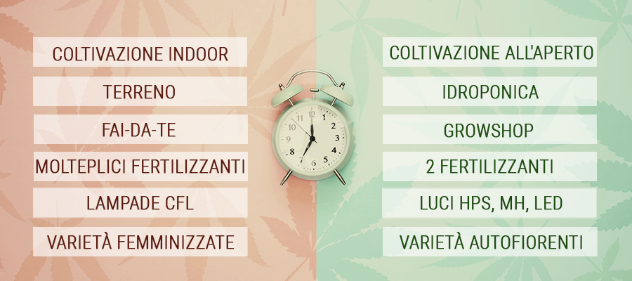 Consigli Salva-Tempo Per Coltivatori di Cannabis Impegnati