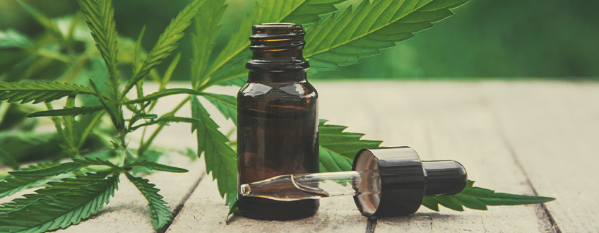 Come Realizzare una Tintura di Cannabis Come Realizzare una Tintura di Cannabis