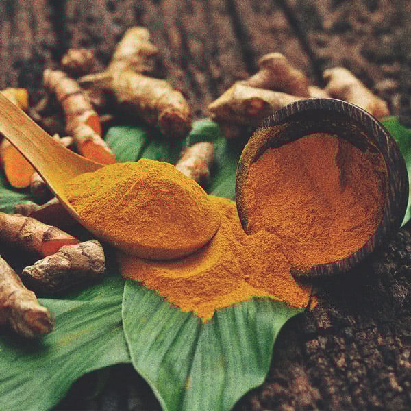 Sostanze Nutritive Biologiche e Cure per la Cannabis Sostanze Nutritive Biologiche e Cure per la Cannabis