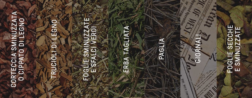 Qual È il Miglior Pacciame per la Cannabis? Qual È il Miglior Pacciame per la Cannabis?