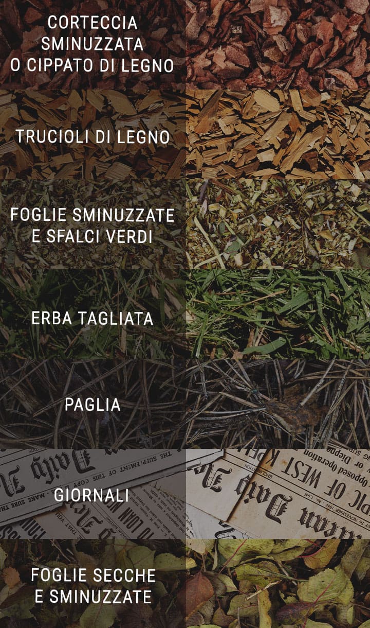 Qual È il Miglior Pacciame per la Cannabis? Qual È il Miglior Pacciame per la Cannabis?