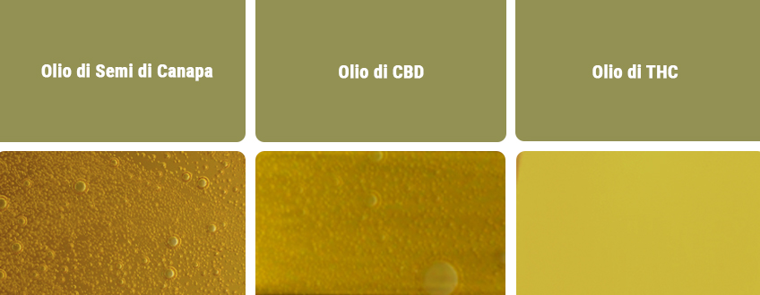 Olio di CBD vs Altri Tipi di Olio