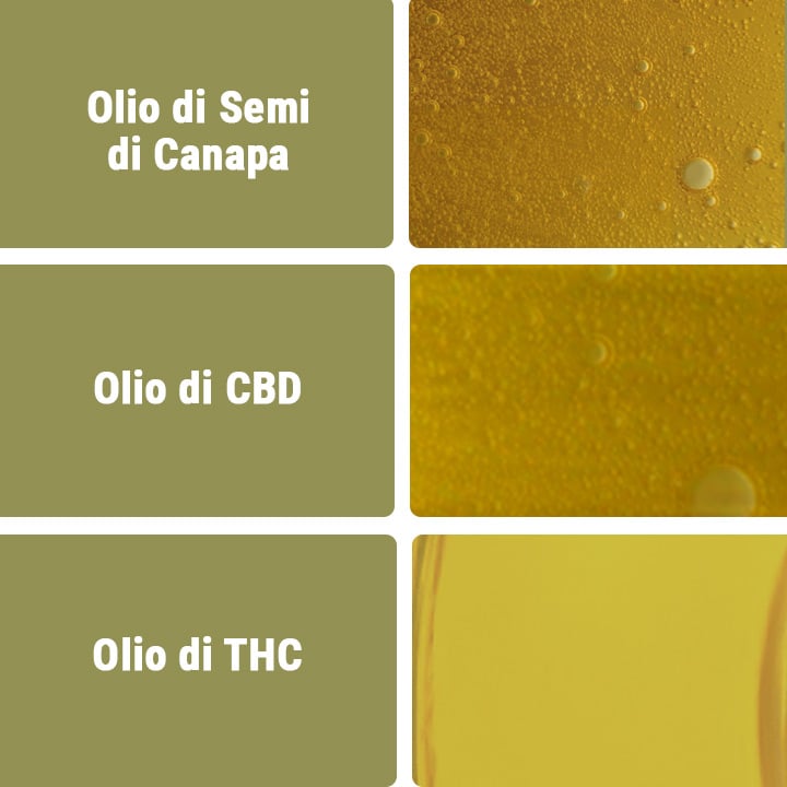 Olio di CBD vs Altri Tipi di Olio