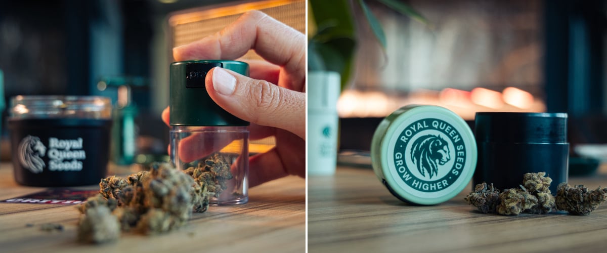 Immagine di cime di cannabis accanto a contenitori compatti sottovuoto su una superficie in legno.