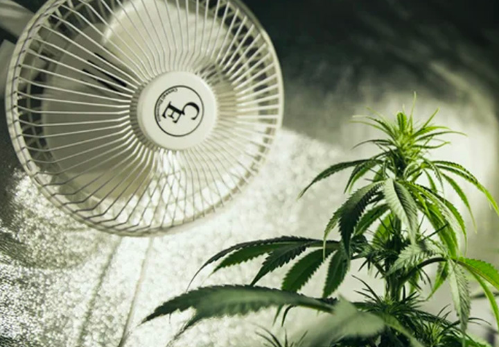 Una Guida Completa alla Ventilazione per la Vostra Grow Room - RQS