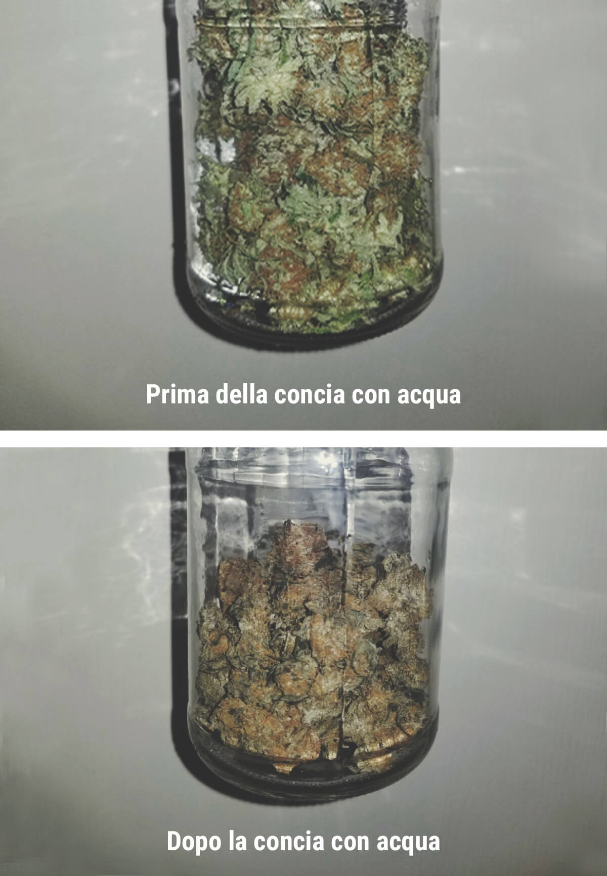 Come Funziona la Concia con Acqua Come Funziona la Concia con Acqua