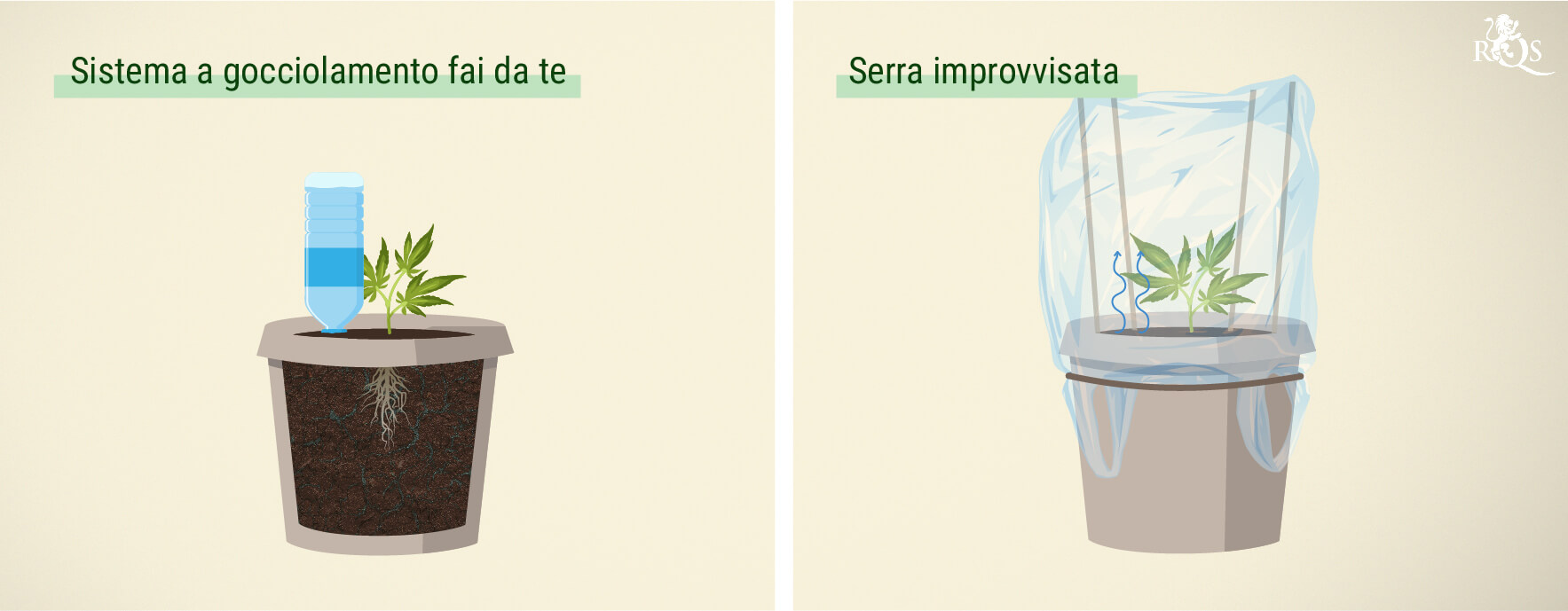 Opzioni economiche Opzioni economiche