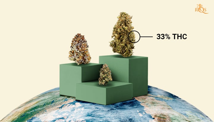 Cannabis World Record Strongest Strain