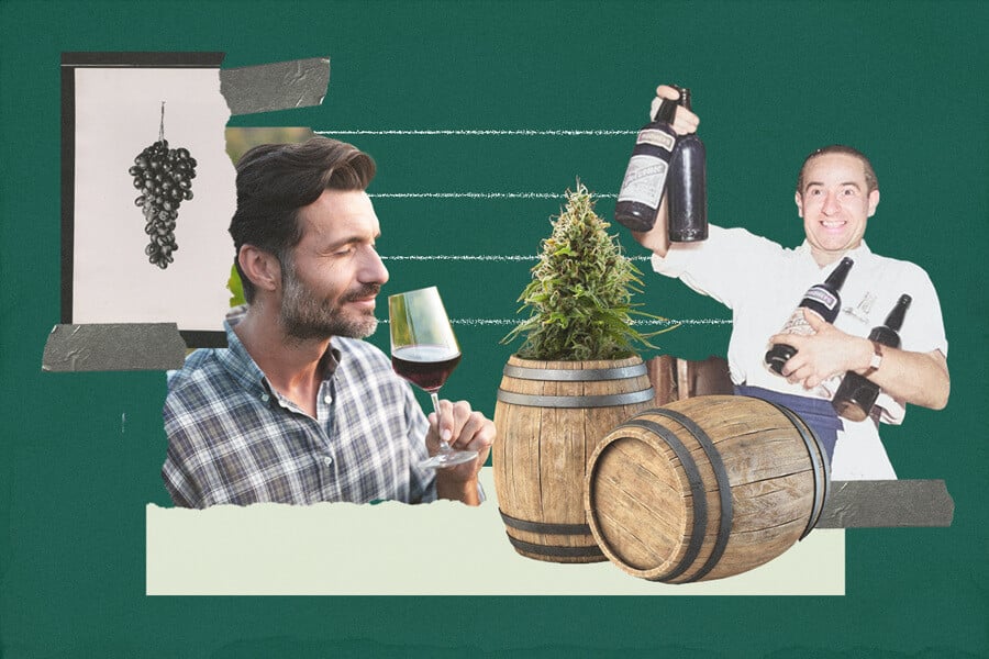 Come fare il vino alla cannabis