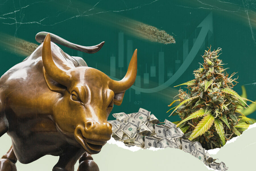 Comprendere il mercato azionario della cannabis