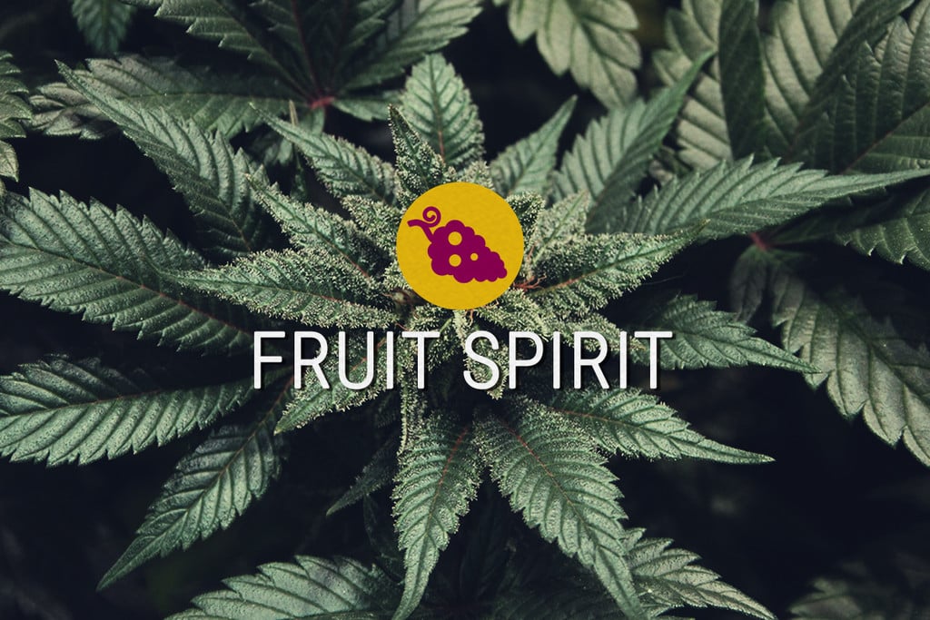 Fruit Spirit semi di cannabis Femminizzati