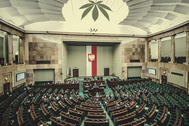 La Cannabis Medicinale È Finalmente Disponibile Nelle Farmacie Polacche