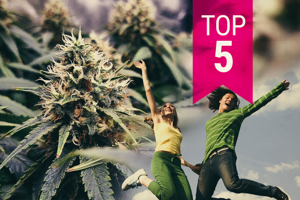 Le 5 varietà di cannabis più energizzanti