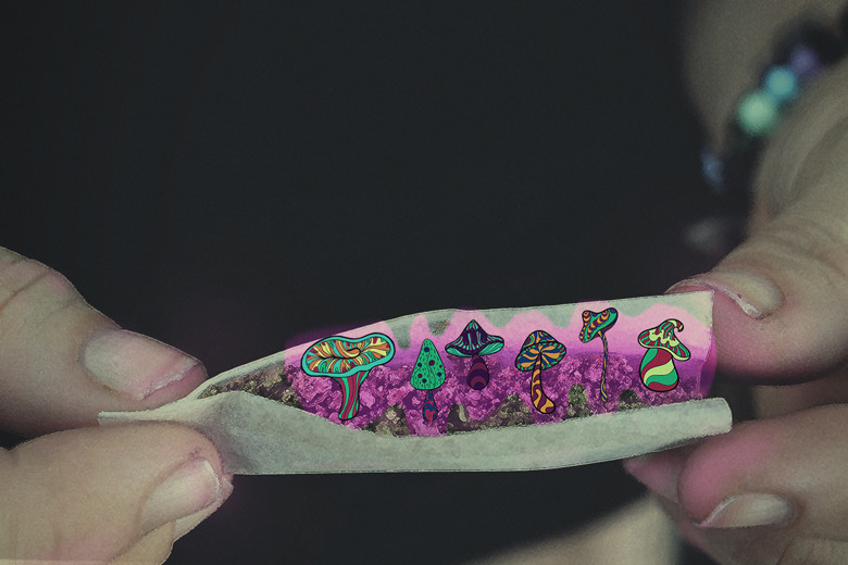 Si Possono Mischiare La Cannabis E I Funghetti Magici?