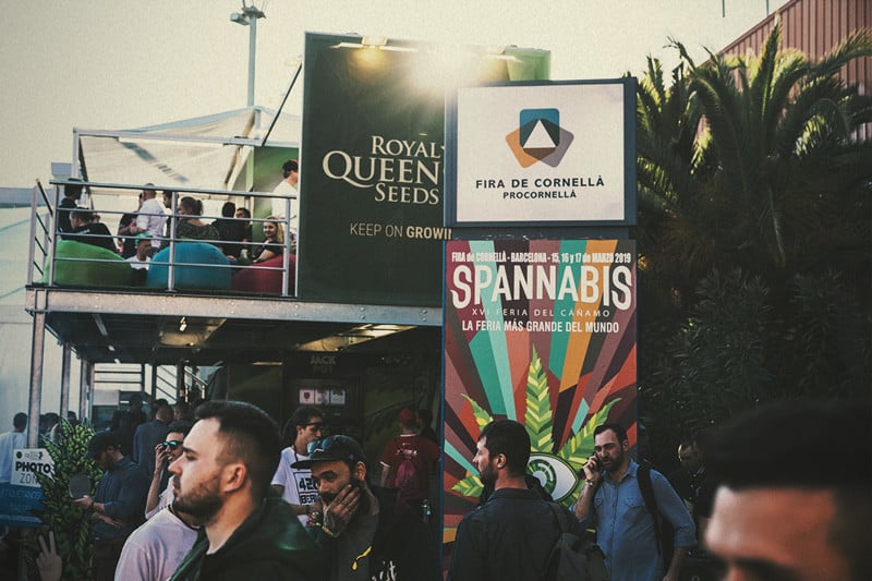 Spannabis 2019: Royal Queen Seeds È la Milgliore Seedbank!