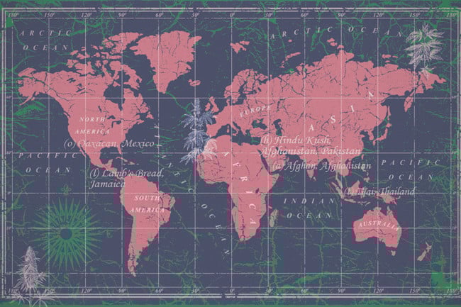 Esiste Una Logica Dietro Agli Stravaganti Nomi Delle Varietà Di Cannabis?