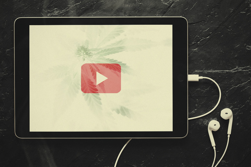 7 Canali YouTube Che Ogni Consumatore D'Erba Dovrebbe Vedere