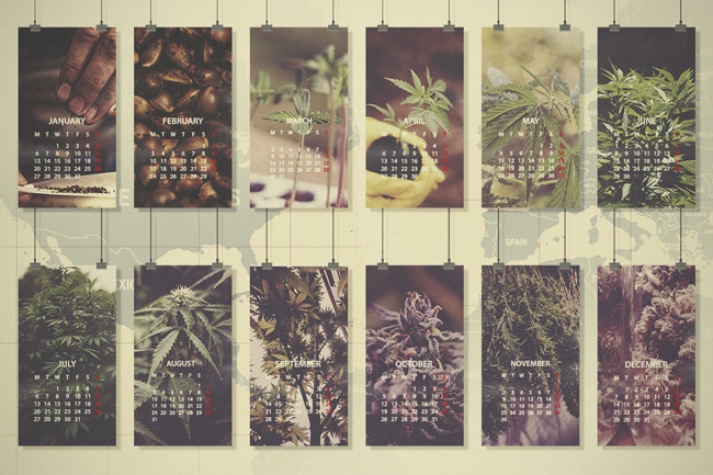 Guida Mensile alla Coltivazione della Cannabis: Europa & Stati Uniti Meridionali