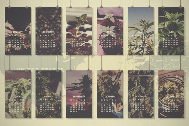 Guida Mensile alla Coltivazione della Cannabis: Nord UE, Stati Uniti e Canada