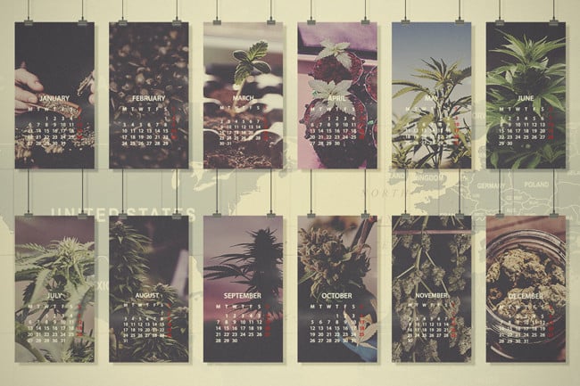 Guida Mensile alla Coltivazione della Cannabis: Nord UE, Stati Uniti e Canada