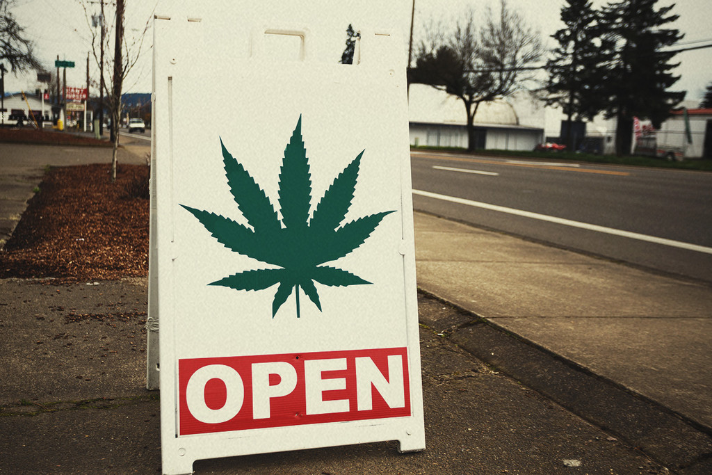 Cosa Serve per Ottenere una Licenza per Coltivare o Vendere Cannabis?