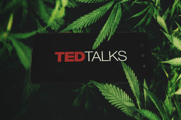 Cannabis TED Talks — Il Meglio Delle Conferenze TED Sulla Marijuana