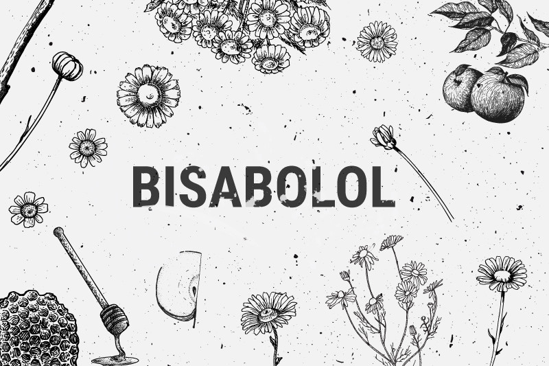 Bisabololo: Un Benefico Terpene Prodotto Dalla Camomilla E Dalla Cannabis