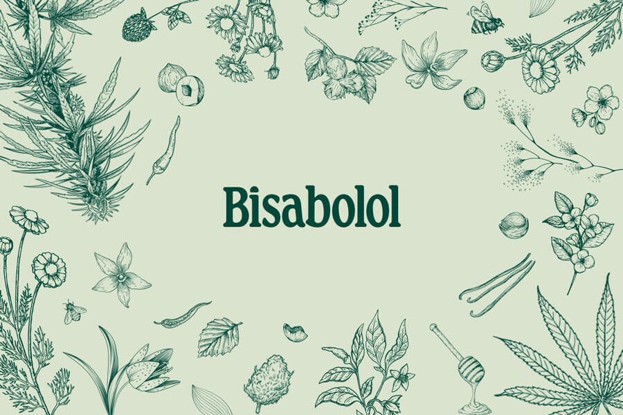 Bisabololo: Un Benefico Terpene Prodotto Dalla Camomilla E Dalla Cannabis