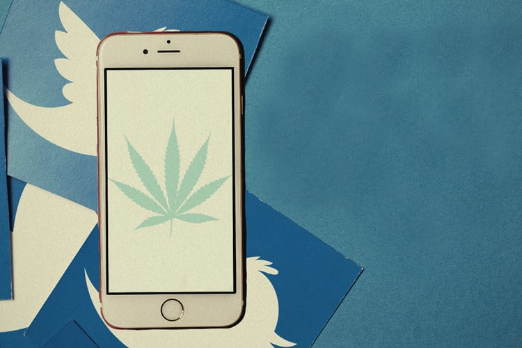 10 Account Twitter Sulla Cannabis Che Devi Seguire