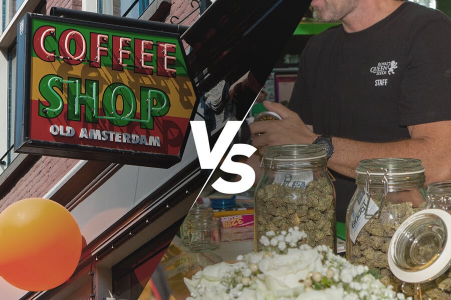 Qual è la differenza tra coffeeshop e dispensario di cannabis