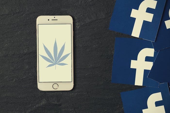 7 Pagine Facebook a Tema Cannabis Da Seguire Subito