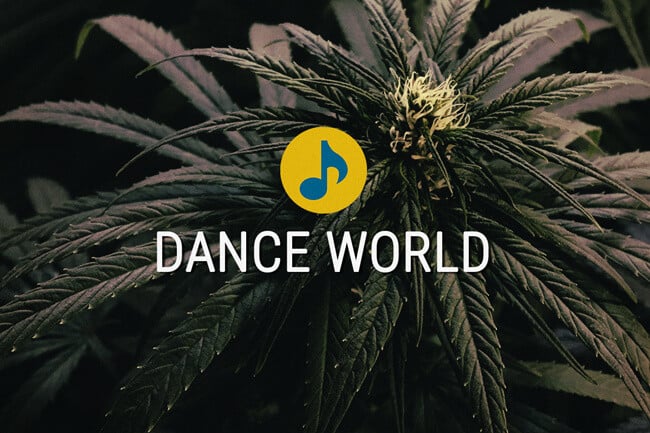 Semi di cannabis terapeutica Dance World 