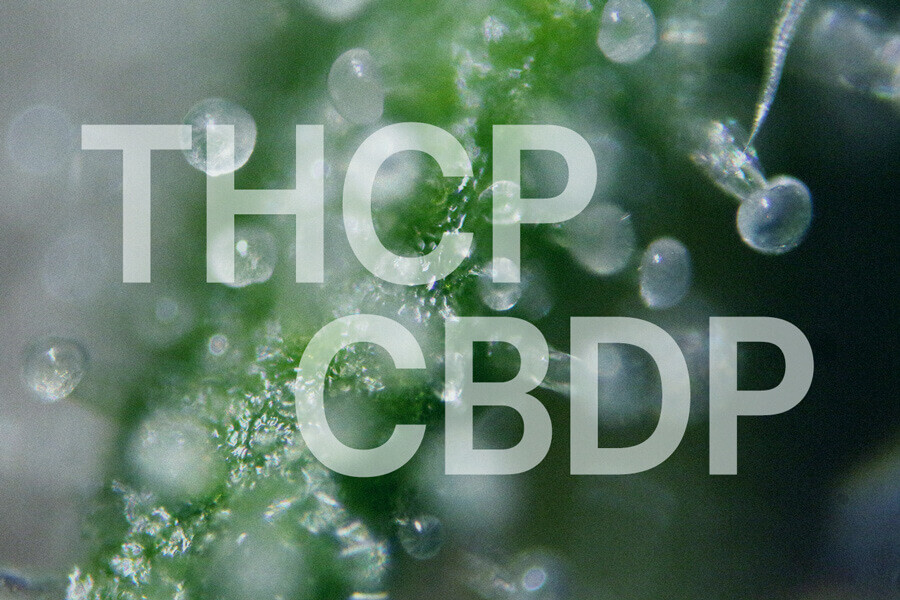 THCP e CBDP: Guida dettagliata su due nuovi cannabinoidi