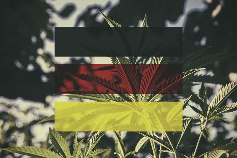 Come Coltivare Cannabis all'Aperto in Germania, Mese per Mese