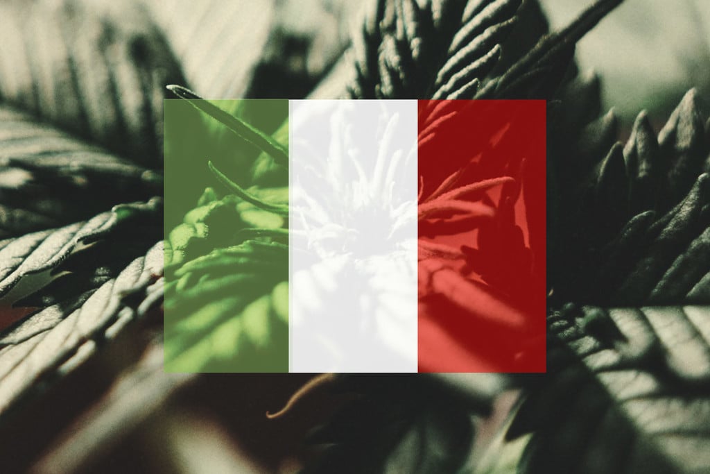 Come Coltivare Cannabis all'Aperto in Italia: Mese per Mese 