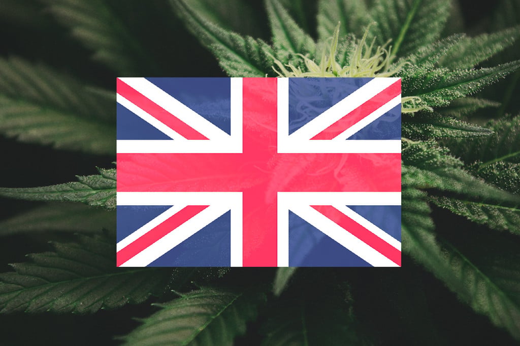 Coltivare Cannabis All'Aperto Nel Regno Unito: Guida Mese Per Mese