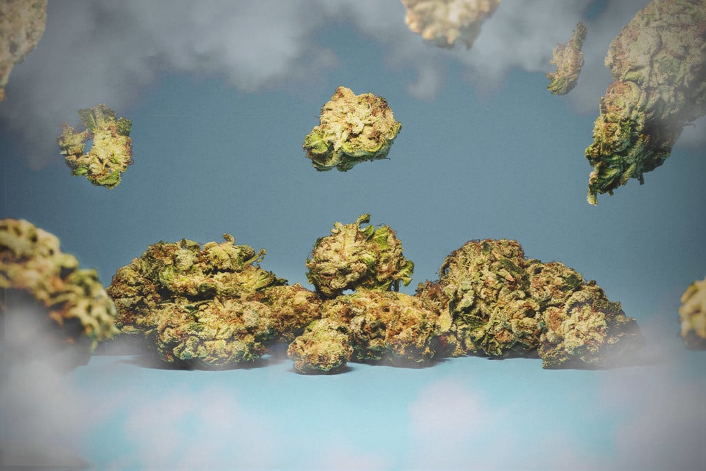 È possibile avere un overdose da Cannabis?