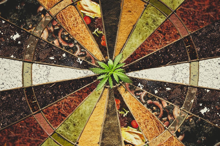 Qual È il Miglior Substrato di Coltivazione per la Cannabis?