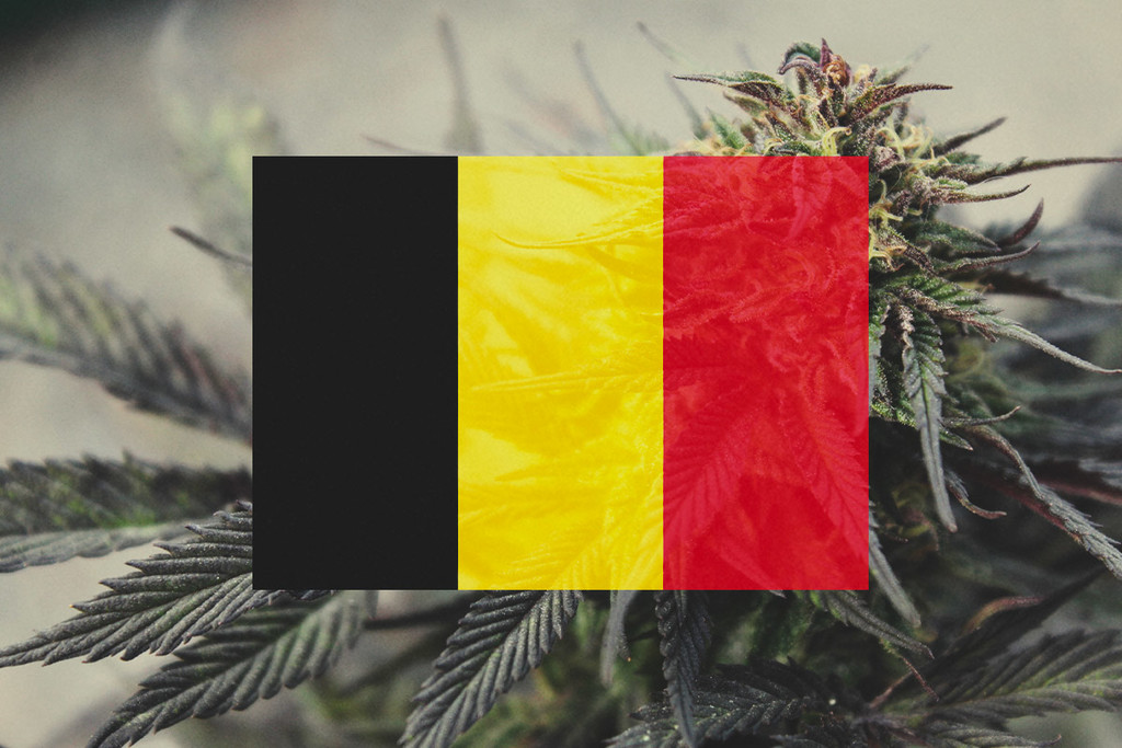 Coltivare La Cannabis Outdoor In Belgio: Guida Mese Per Mese