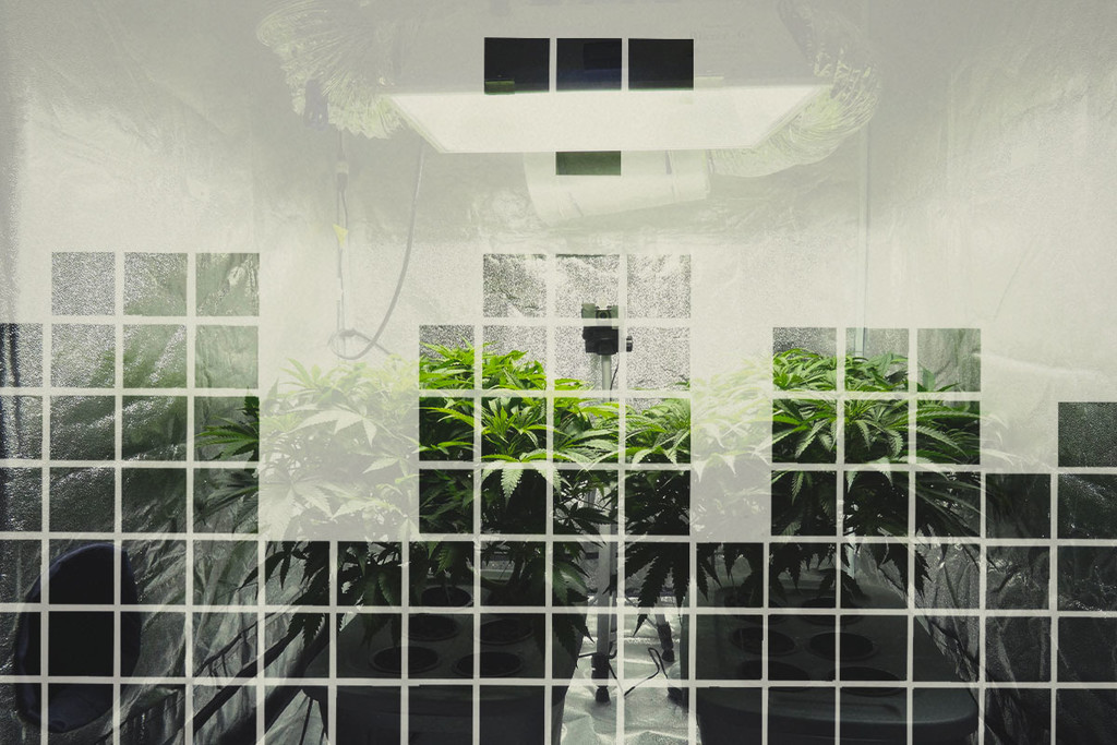 Come Costruire da Soli un Grow Box per la Cannabis in 3 Passaggi!
