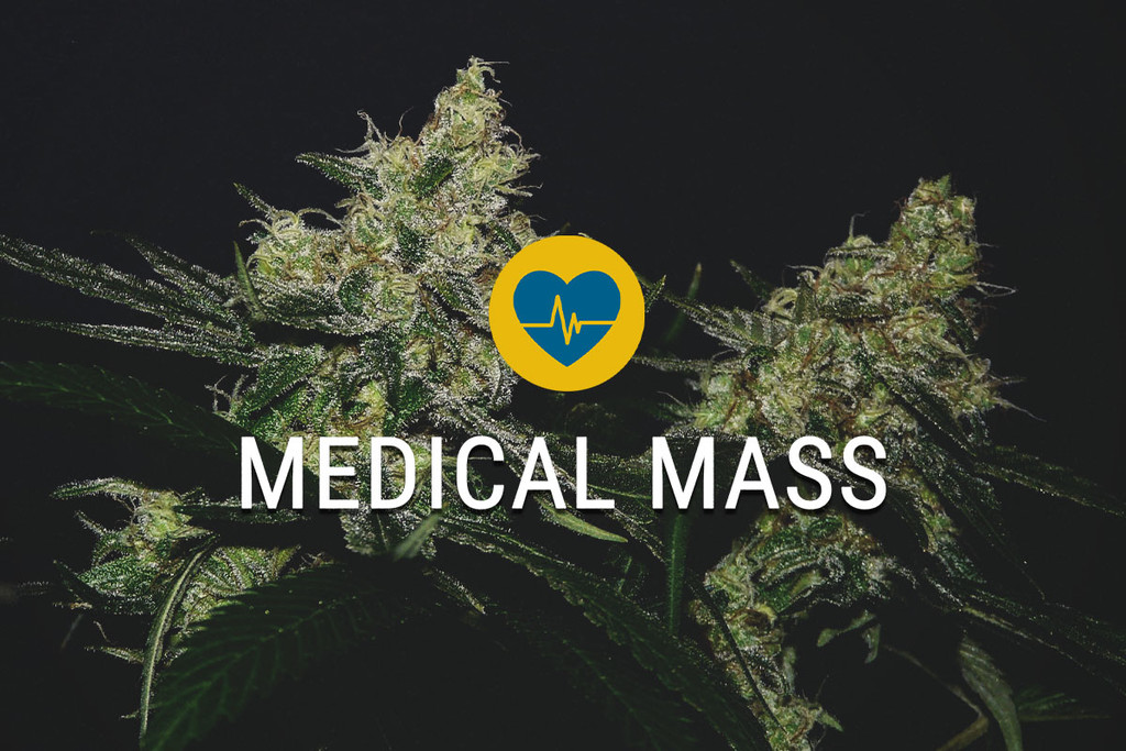 Medical Mass: Goditi Tutto Ciò Che la Cannabis Ha da Offrire