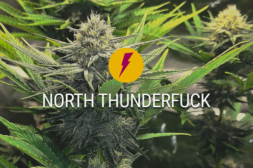 North Thunderfuck: Versione Nuova e Migliorata di MTF