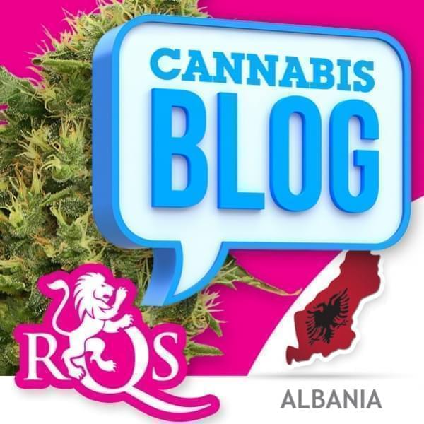 La cannabis in Albania