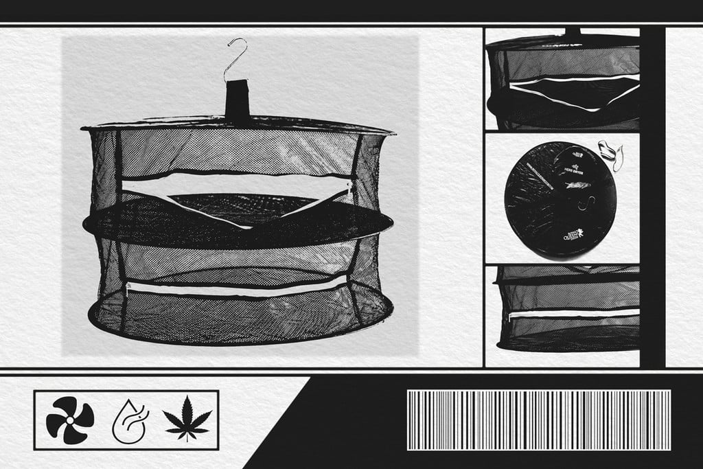 Come essiccare la ganja con la rete essiccatrice per erbe RQS