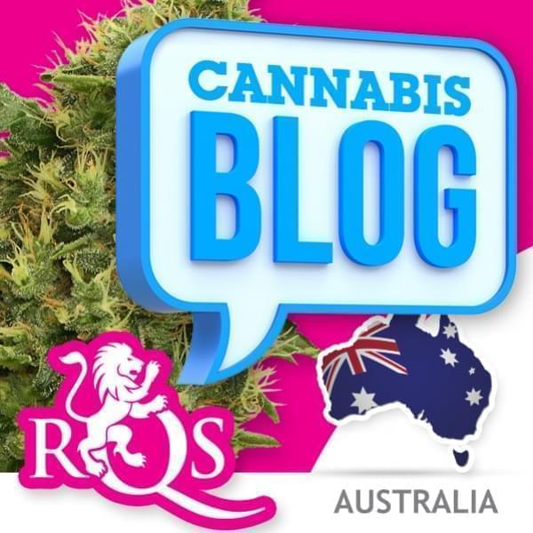 Cannabis in Australia