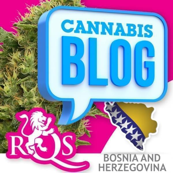 Cannabis in Bosnia-Erzegovina