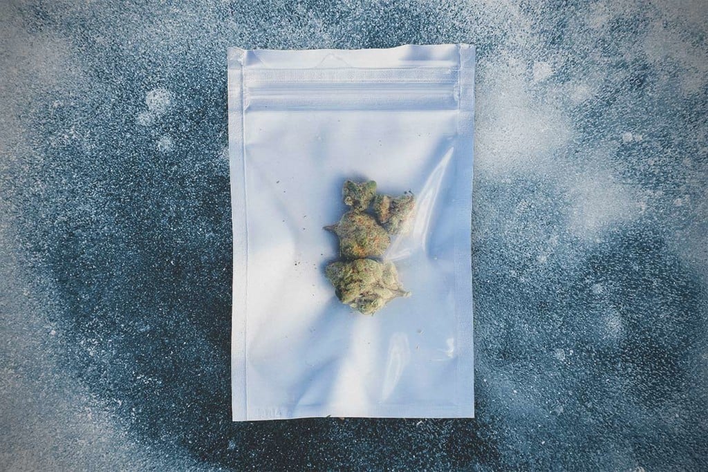 Una guida per congelare la cannabis fresca